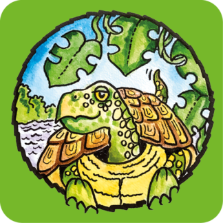 Brassi Willie de Waterschildpad