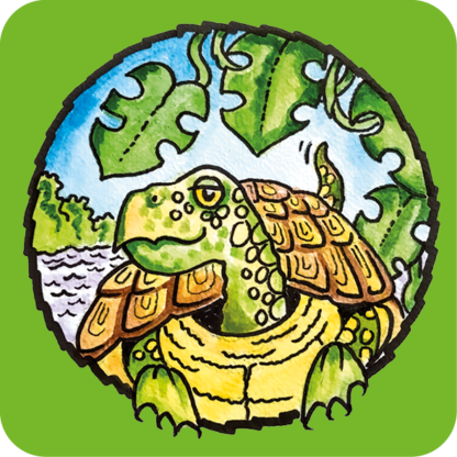 Brassi Willie de Waterschildpad